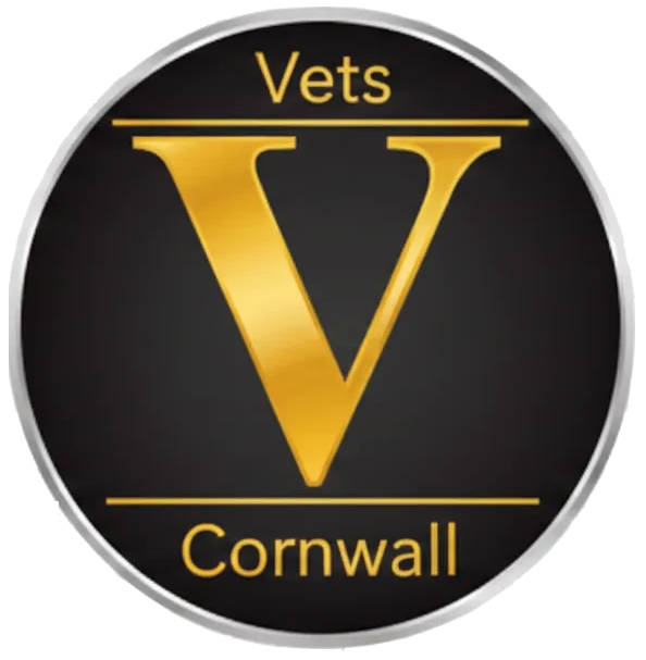 Cornwall County Veteran Ladies